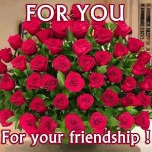 Meet your Posher, Renee